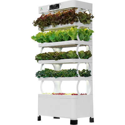 Sistema de vegetales hidropónicos inteligentes Veggiefloe - La mejor opción para vegetales caseros saludables