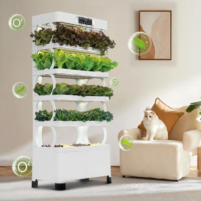 Sistema hidropónico de vegetales para escuelas: aprendizaje práctico y alimentación saludable para niños